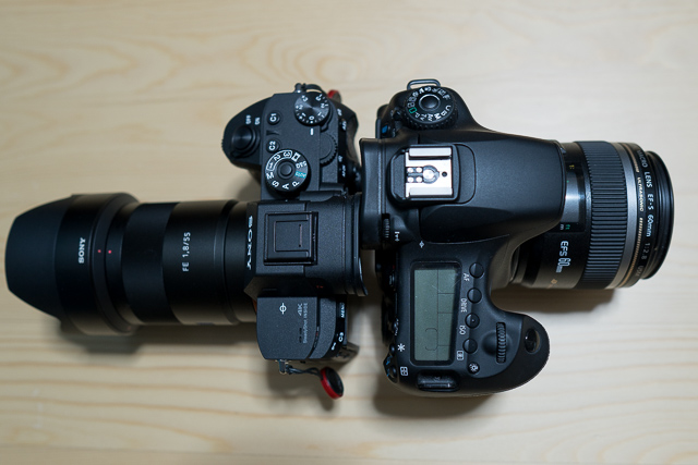 Canon60Dとα7R IIIのサイズ比較