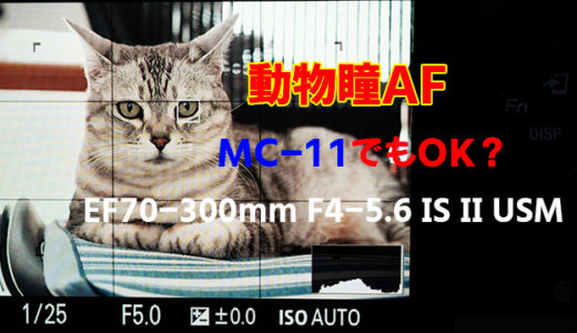 驚き！α7R IIIの動物瞳AFをMC-11 × キヤノンEF70-300mmで試した結果