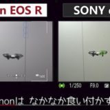 ソニー vs キヤノン！α7ⅢとEOS RのAF性能比較動画